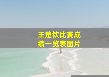 王楚钦比赛成绩一览表图片