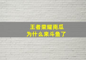 王者荣耀南瓜为什么来斗鱼了