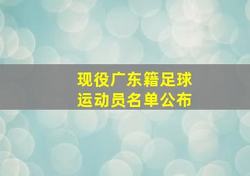 现役广东籍足球运动员名单公布