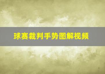 球赛裁判手势图解视频