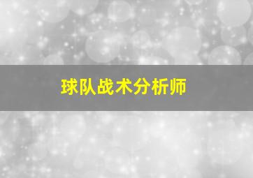 球队战术分析师