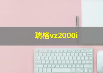 瑞格vz2000i