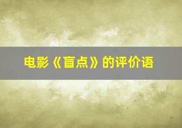 电影《盲点》的评价语