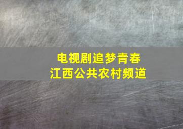 电视剧追梦青春江西公共农村频道