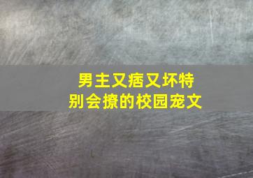 男主又痞又坏特别会撩的校园宠文