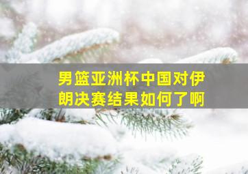 男篮亚洲杯中国对伊朗决赛结果如何了啊