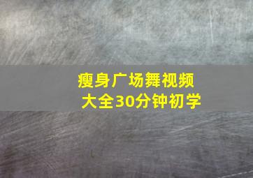 瘦身广场舞视频大全30分钟初学