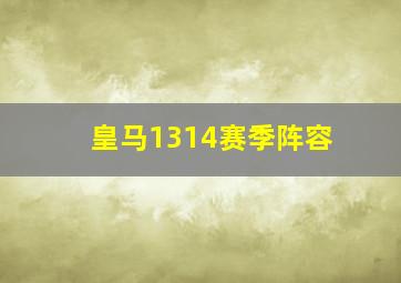 皇马1314赛季阵容