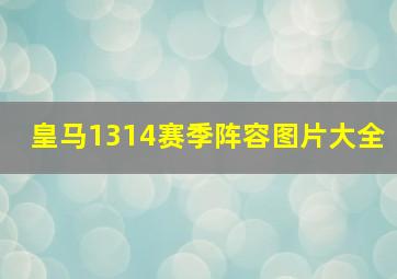 皇马1314赛季阵容图片大全