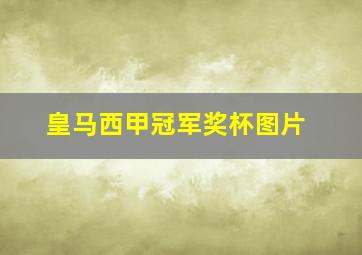 皇马西甲冠军奖杯图片