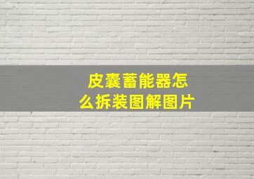 皮囊蓄能器怎么拆装图解图片