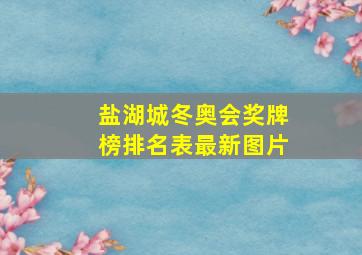 盐湖城冬奥会奖牌榜排名表最新图片