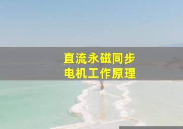 直流永磁同步电机工作原理