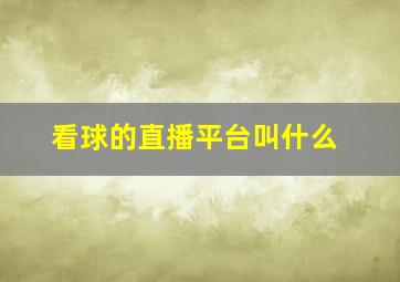 看球的直播平台叫什么