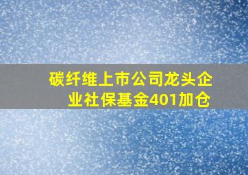 碳纤维上市公司龙头企业社保基金401加仓