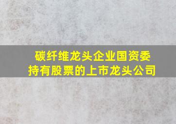 碳纤维龙头企业国资委持有股票的上市龙头公司