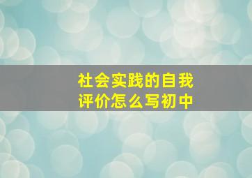 社会实践的自我评价怎么写初中