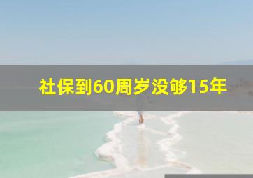 社保到60周岁没够15年