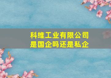 科维工业有限公司是国企吗还是私企