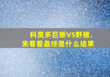 科莫多巨蜥VS野猪,来看看最终是什么结果