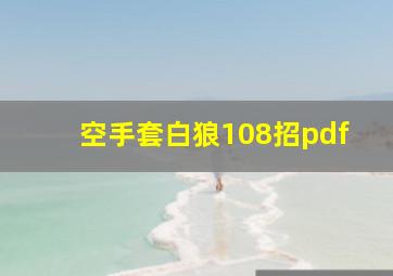 空手套白狼108招pdf