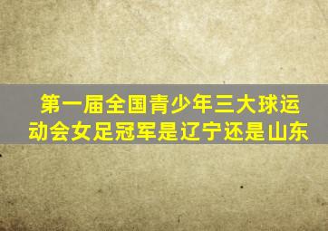 第一届全国青少年三大球运动会女足冠军是辽宁还是山东