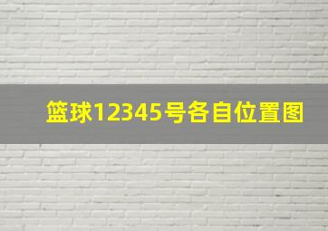 篮球12345号各自位置图