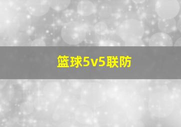 篮球5v5联防