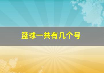 篮球一共有几个号