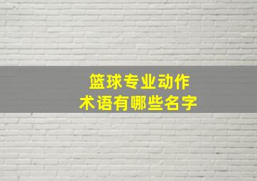 篮球专业动作术语有哪些名字