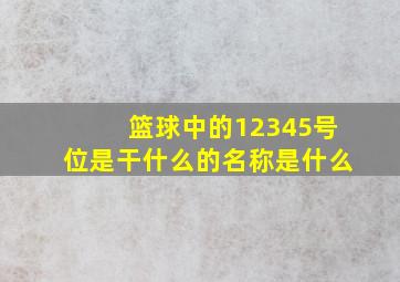 篮球中的12345号位是干什么的名称是什么