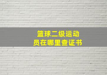 篮球二级运动员在哪里查证书