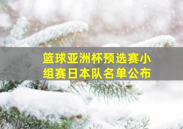 篮球亚洲杯预选赛小组赛日本队名单公布