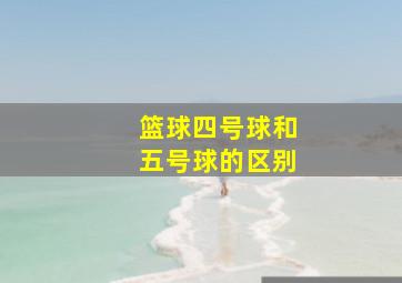 篮球四号球和五号球的区别