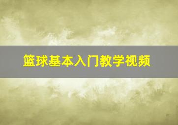 篮球基本入门教学视频