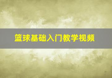 篮球基础入门教学视频