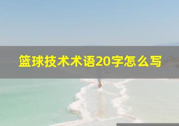 篮球技术术语20字怎么写