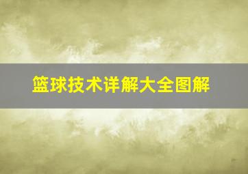 篮球技术详解大全图解