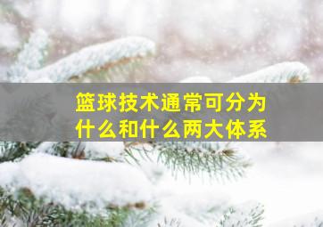 篮球技术通常可分为什么和什么两大体系