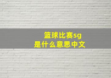 篮球比赛sg是什么意思中文