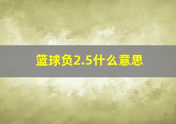 篮球负2.5什么意思