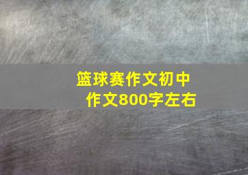 篮球赛作文初中作文800字左右