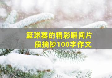 篮球赛的精彩瞬间片段摘抄100字作文