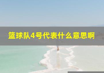 篮球队4号代表什么意思啊