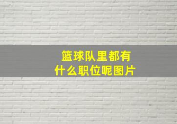 篮球队里都有什么职位呢图片