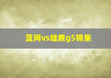 篮网vs雄鹿g5锦集