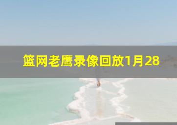 篮网老鹰录像回放1月28