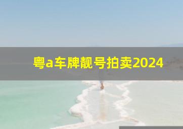 粤a车牌靓号拍卖2024