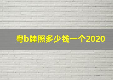 粤b牌照多少钱一个2020