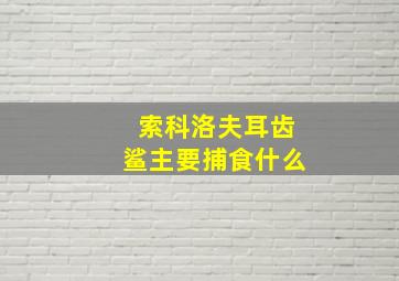 索科洛夫耳齿鲨主要捕食什么